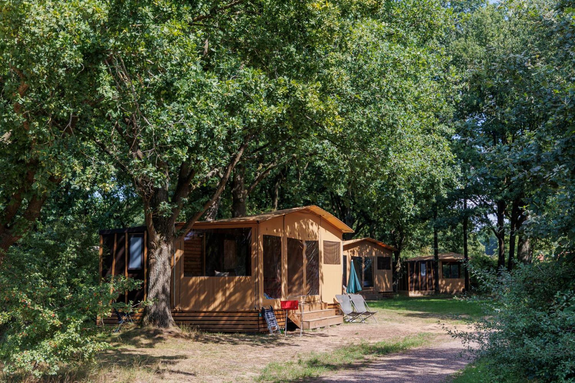 Huttopia De Roos Stegeren Exterior photo
