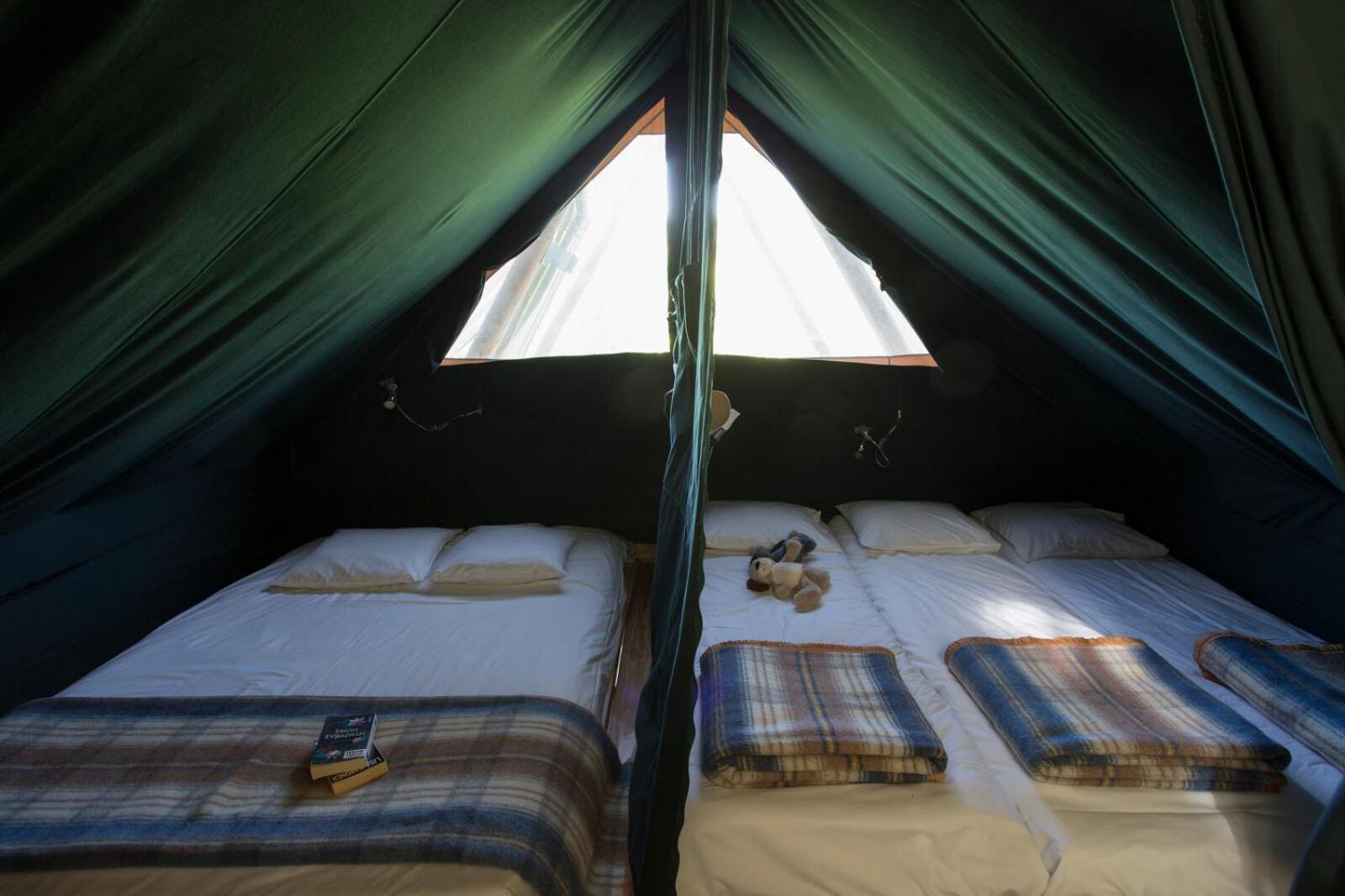 Huttopia De Roos Stegeren Room photo